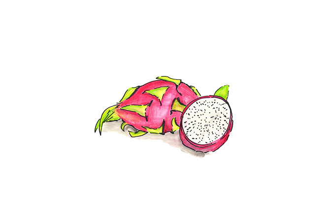 Illustration einer Drachenfrucht.