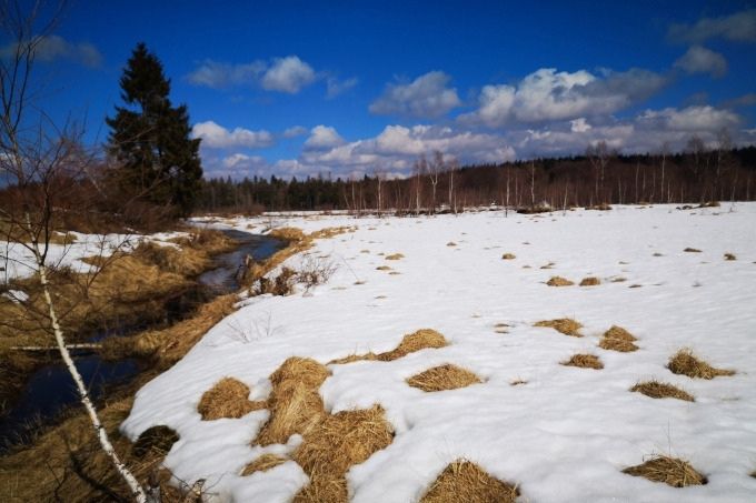 Winter im Nationalpark: Blick auf die Moor-Projektfläche. - Foto: NABU/ Tom Kirschey
