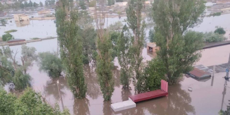Überschwemmung - Foto: NABU/ Oleg Dudkin