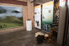 Impressionen von PlanetArt, Banner zu den Themen Schneeleoparden und nachhaltiges Weidemanagement.