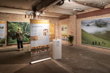 Impressionen von PlanetArt, Banner zu den Themen Regenwald und Steppe.