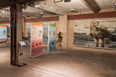 Impressionen von PlanetArt, Banner zu den Themen Kaiseradler und ländliche Entwicklung.
