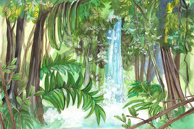 Regenwald mit Wasserfall Illustration.
