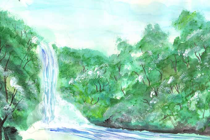 Der Regenwald mit Wasserfall Illustration
