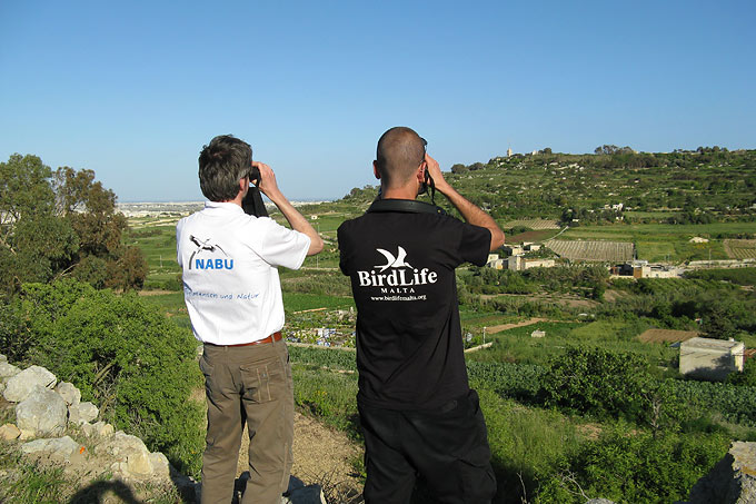 BirdLife-Partner aus Deutschland und Malta bei der Zugvogelbeobachtung - Foto: NABU