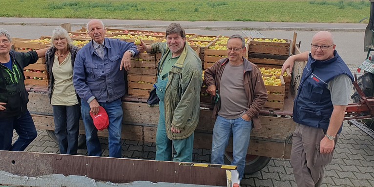 1,5 Tonnen meist sortenreine Bittenfelder - seltene Ausnahme des Sachsenheimer Streuobstbewirtschafters Gerhard Haug - Foto: VaihingerStreuobst-Initiative