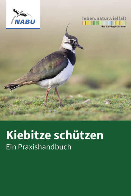 Neues Praxishandbuch Kiebitzschutz