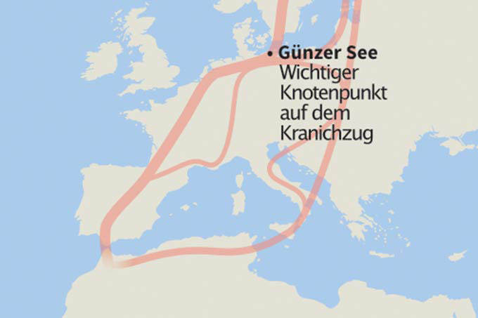 Karte mit den Zugrouten der Kraniche