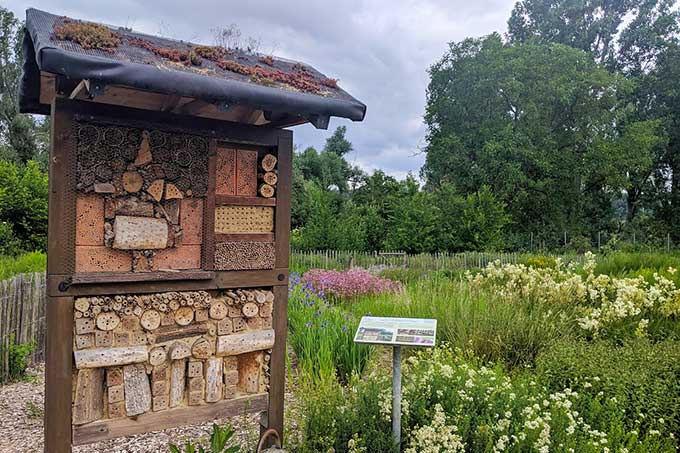 Bildunterzeile: Vermehrungsstation für seltene Pflanzen mit Wildbienenhotel auf der Naturerlebnisfläche AuenLand - Foto: © NABU-Naturschutzzentrum Rheinaue