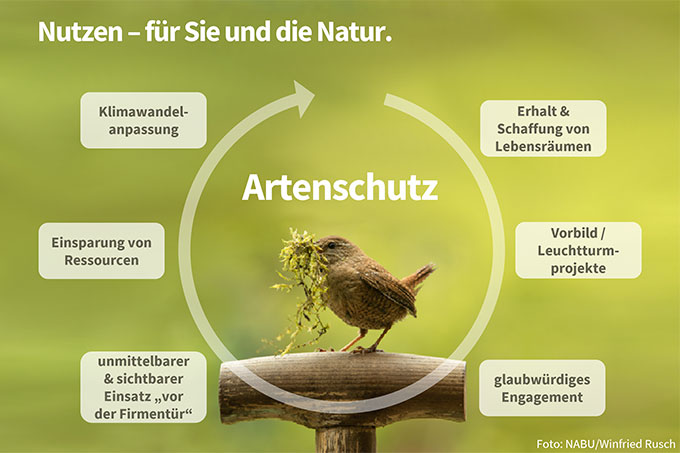 Nutzen ökologischer Aufwertungen von Firmenflächen - Foto: NABU/Winfried Rusch