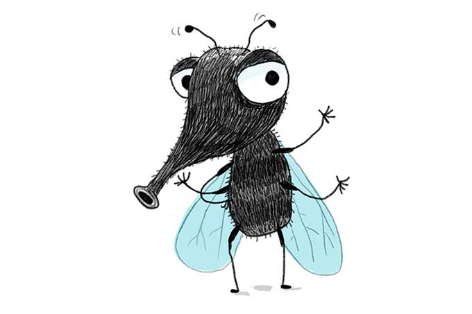 Nervige Fliege? - Illustration: Julia Friese