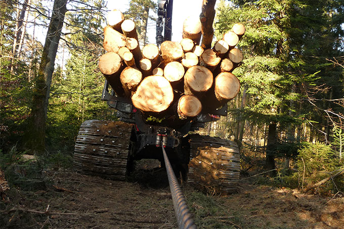<p id="holzverbrennung-subvention">Die Wälder sind schon jetzt deutlich übernutzt. Deutschland muss die Subventionierung von klimaschädlicher Holzverbrennung sofort stoppen. - Foto: NABU/Johannes Enssle