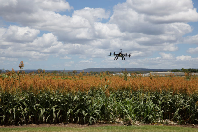 Bei "Precision Farming" werden Drohnen mit künstlicher Intelligenz zur Überwachung des Pflanzenbestandes eingesetzt. Foto: pixabay/clarrycola