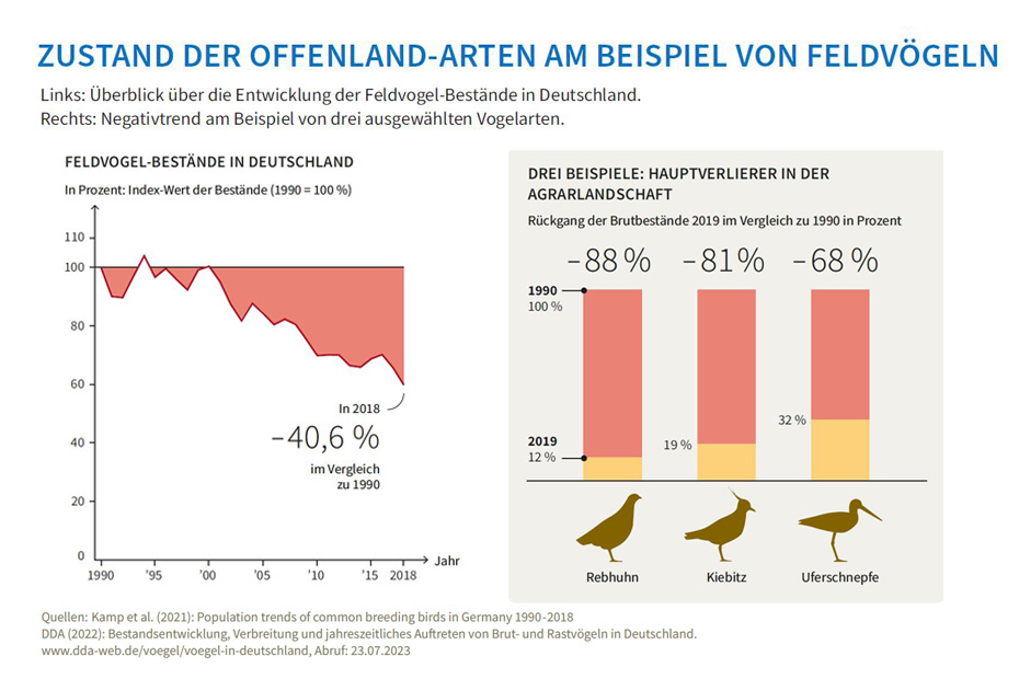 Zustand der Offenland-Arten am Beispiel von Feldvögeln - Infografik: Sapera Studios GmbH