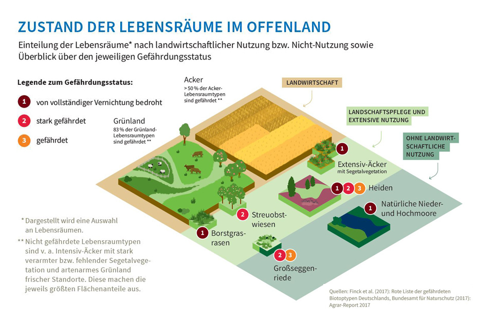 Zustand der Lebensräume im Offenland - Infografik: Sapera Studios GmbH
