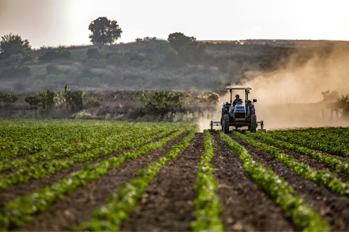 Landwirtschaft. - Foto: Getty Images/BurakHayko