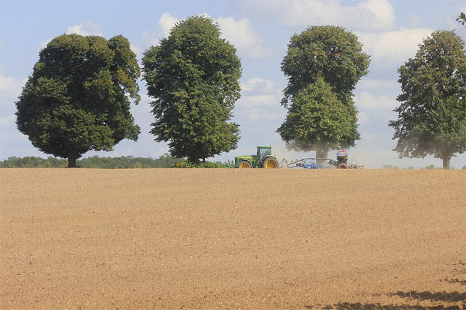 Intensive Landwirtschaft lässt Brachflächen verschwinden - Foto: Helge May