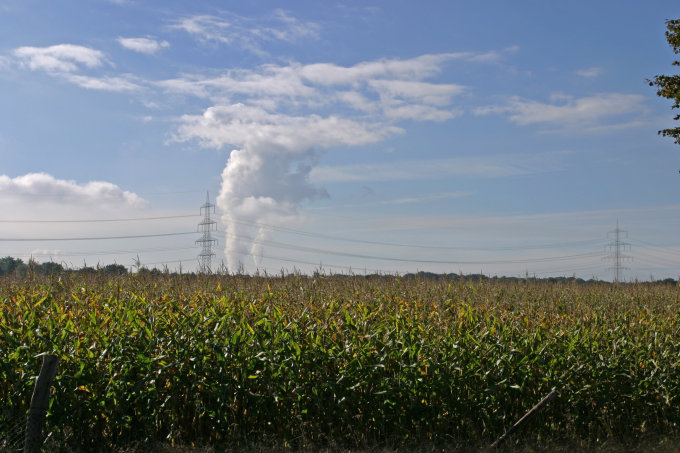 Industrie und Hochspannungsleitung vor einem Maisfeld. - Foto: Klemens Karkow