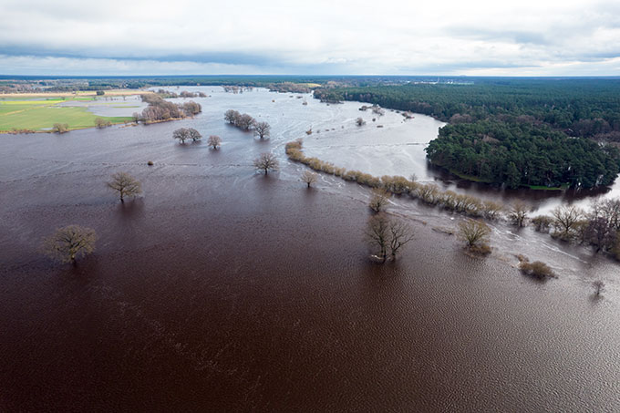 Hochwasser an der Aller (Januar 2024) - Foto: NABU/Phillip Schulze