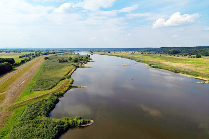 Blick über die Oder - Foto: NABU/Volker Gehrmann