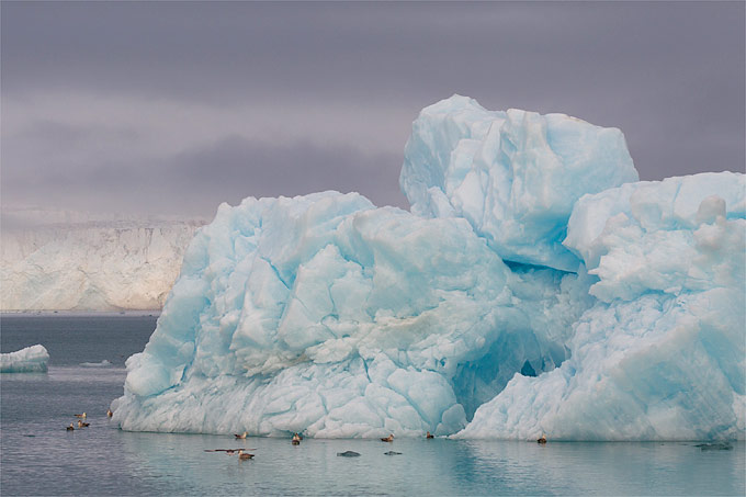 Eisberg vor Spitzbergen - Foto: NABU/Christoph Kasulke