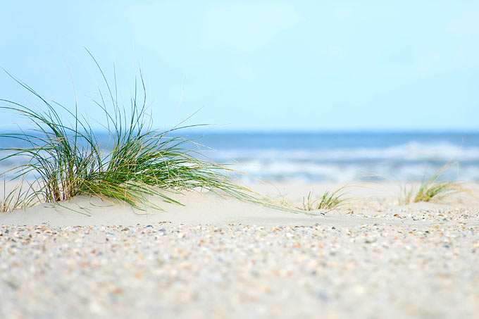 Foto aufgenommen auf einem Strand an der Nordsee. Man sieht hellen Sand, im Vordergrund ein grünes Grasbüschel, im Hintergrund die Wellen und das Meer.
