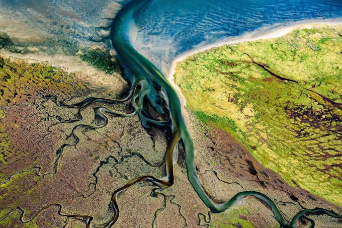 Seegraswiesen aus der Luft vor der Nordseeinsel Memmert - Foto: Martin Elsen