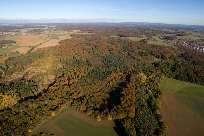 Das Schutzgebiet Laubacher Wald im Westlichen Vogelsberg - Foto: Manfred Delpho