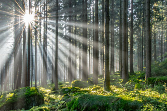 Licht ins Dunkel bringen: Wie kann der Schutz unserer natürlichen Ressourcen gesetzlich sinnvoll verankert werden? - Foto: CEWE/Andreas Schoenberg