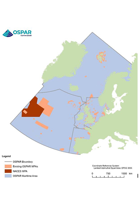 Karte des OSPAR-Gebietes und des neu ausgewiesenen NACES-Schutzgebietes. Quelle: OSPAR Commission