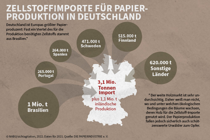 Zellstoffimporte für Papierproduktion in Deutschland - Grafik: NABU/sichtagitation