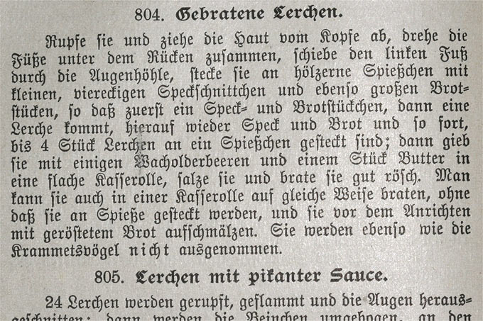 Noch gar nicht so lange her: Lerchen-Rezept aus „Luise Schäfers neues Kochbuch“ von 1909 - Foto: Helge May