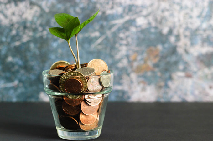 Pflänzchen wächst aus Münzen - Foto: unsplash/Micheile Henderson