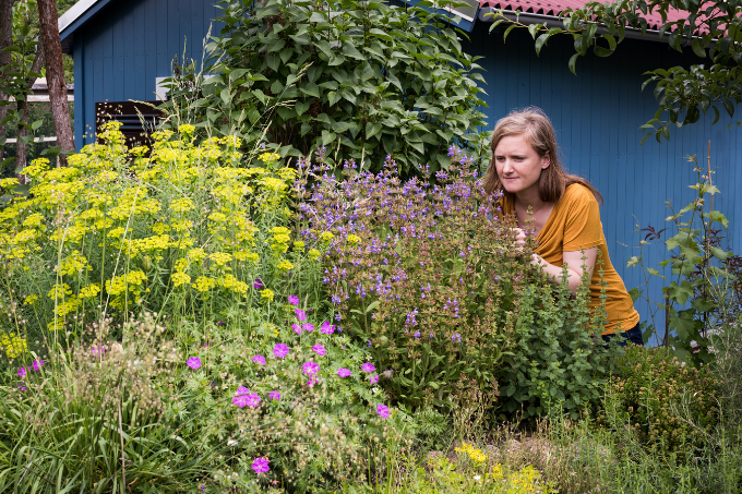 Gärten haben ein enormes Potenzial für Artenvielfalt und Klimaschutz. - Foto: NABU/Sebastian Hennigs