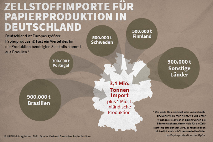 Zellstoffimporte für Papierproduktion in Deutschland - Grafik: NABU/sichtagitation