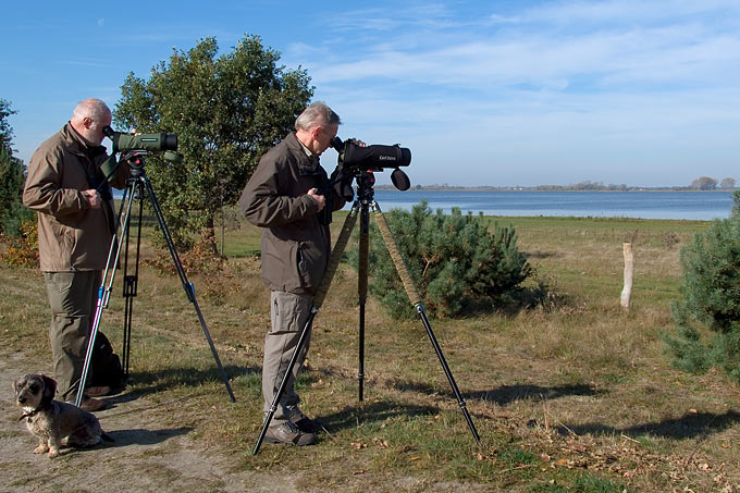 Vogelbeobachter am Gülper See - Foto: Sebastian Hennigs
