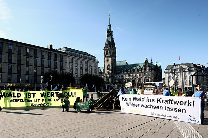Protest in Hamburg gegen die Umrüstung des Steinkohlekraftwerks Tiefstack auf Gas- und Holzbiomasse - Foto: Mirko Boll