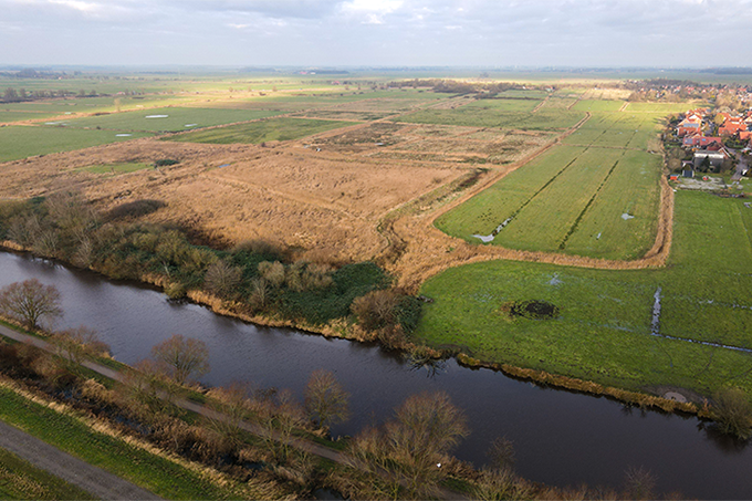 Das noch intakte Feuchtwiesengebiet in Emden Conrebbersweg - Foto: Michael Rueger / NABU