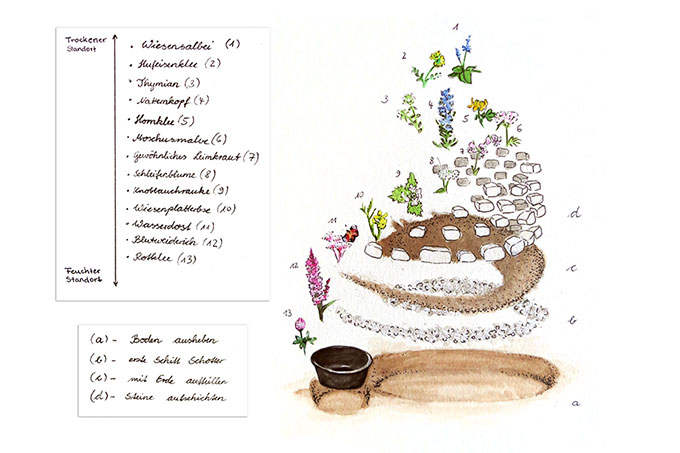 Schmetterlingsspirale - Illustration: NelumboArt/Stefanie Gendera