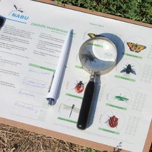 Mit dieser Zählhilfe ist Mitmachen beim Insektensommer ganz einfach. Foto: NABU/Helge May