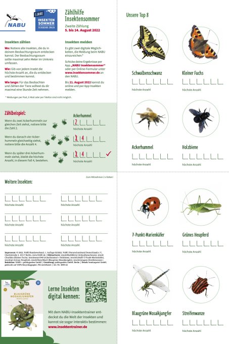 Vorschaubild der Zählhilfe für den Insektensommer - Foto: NABU