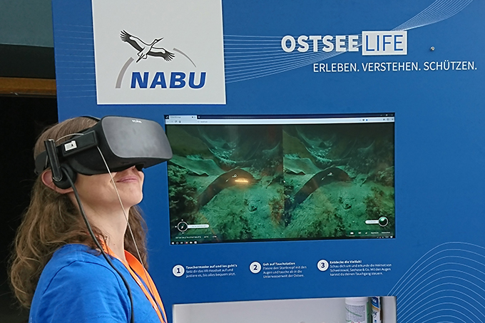 Abtauchen in OstseeLIFE mit VR-Brille im Ozeaneum Stralsund, Foto: NABU/Kim Detloff