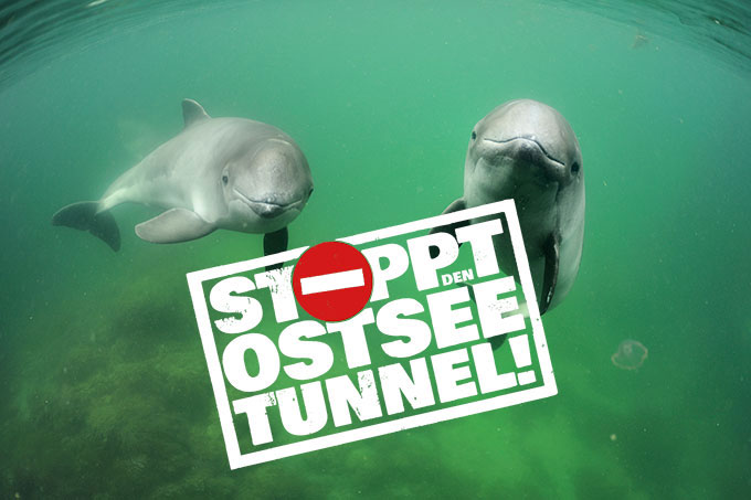 Stoppt den Ostseetunnel - Bild: Fjord &amp; Baelt/Solvin Zankl
