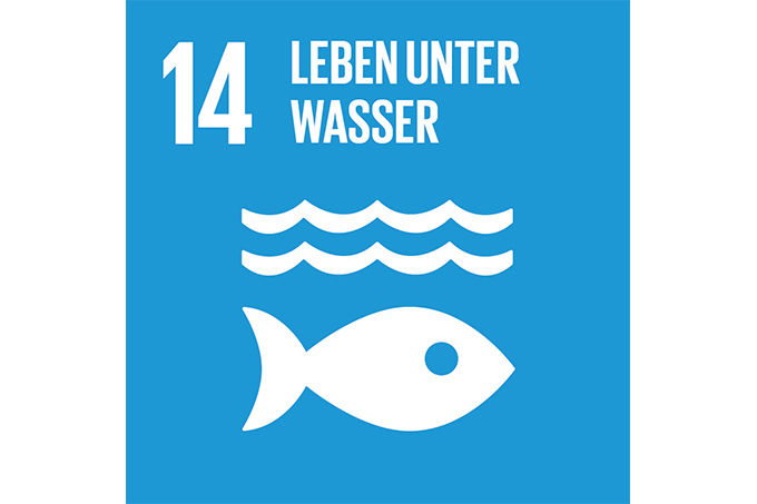 SDG-Ziel 14: Leben unter Wasser