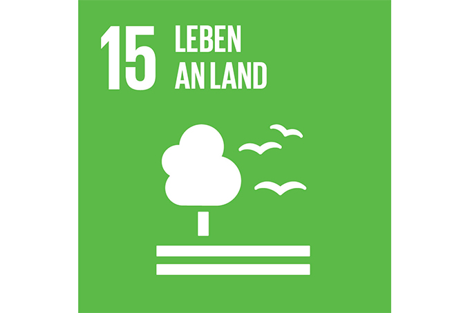 SDG-15: Leben an Land