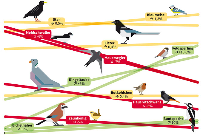 Gewinner und Verlierer der Stunde der Gartenvögel 2006 bis 2016