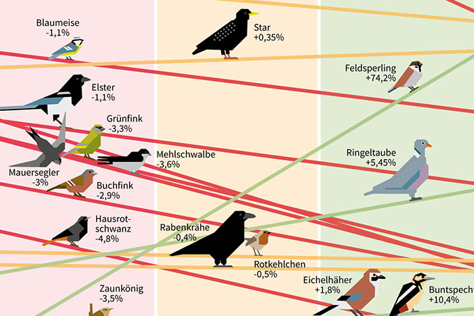 Wie geht es den 18 häufigsten Gartenvögeln? - Grafik: NABU/Erik Tuckow