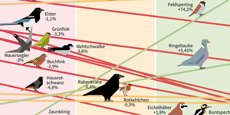 Wie geht es den 18 häufigsten Gartenvögeln? - Grafik: NABU/Erik Tuckow