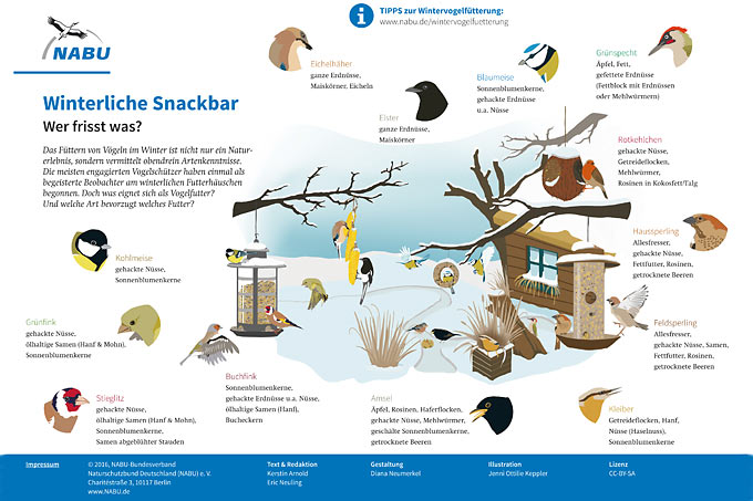<a href="https://www.nabu.de/tiere-und-pflanzen/voegel/helfen/vogelfuetterung/21659.html">Service:  Animierte „Snackbar für die Vögel“, auch als Infografik zum Ausdrucken</a>