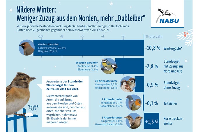 Mittlere jährliche Bestandsentwicklung der 60 häufigsten Wintervogelarten von 2011 bis 2021 (zur Großansicht auf das Bild klicken) - Grafik: NABU/publicgarden, Berlin